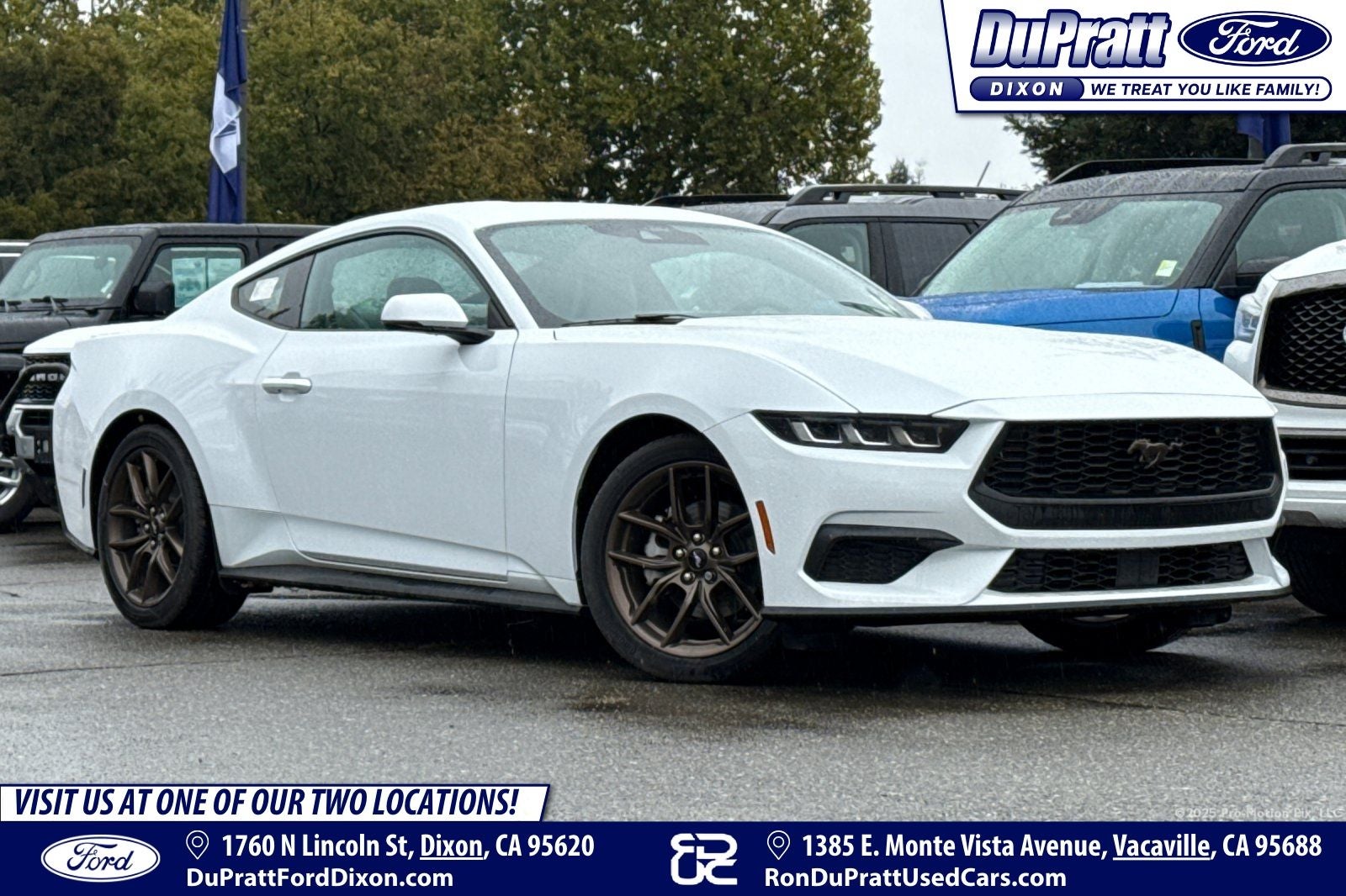 2024 Ford Mustang EcoBoost Premium